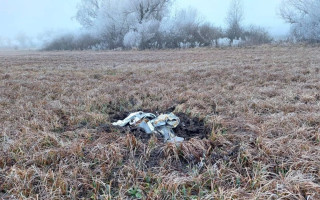 У Молдові виявили уламки ракети після масованого російського обстрілу України