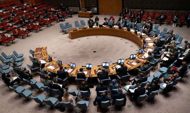 У комітеті Ради закликали вигнати рф з Радбезу ООН