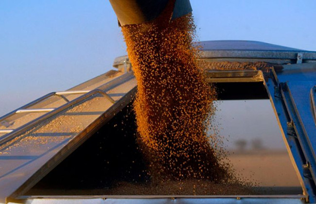 Високий Суд Англії арештував активи власників Одеського зернового терміналу