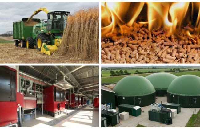 Біоетанол та біогаз – це альтернативні види енергетики, які можуть забезпечити енергетичну стійкість України, – замміністра аграрної політики