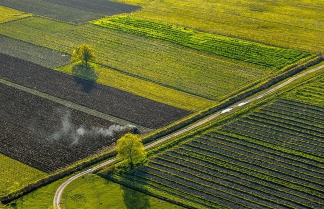 Як оформити спадщину якщо в державному акті відсутній кадастровий номер земельної ділянки