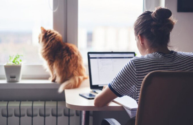 ВПЛ продолжает работать дистанционно: какие последствия для работодателя