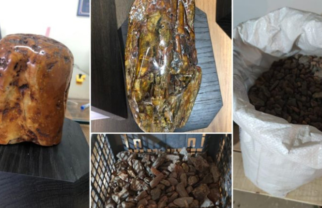 Пытался незаконно сбыть более 115 кг янтаря: прокуратура оспаривает приговор руководителю предприятия