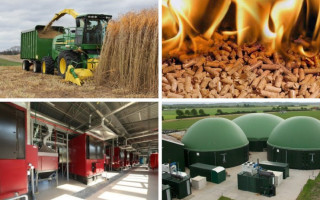 Біоетанол та біогаз – це альтернативні види енергетики, які можуть забезпечити енергетичну стійкість України, – замміністра аграрної політики