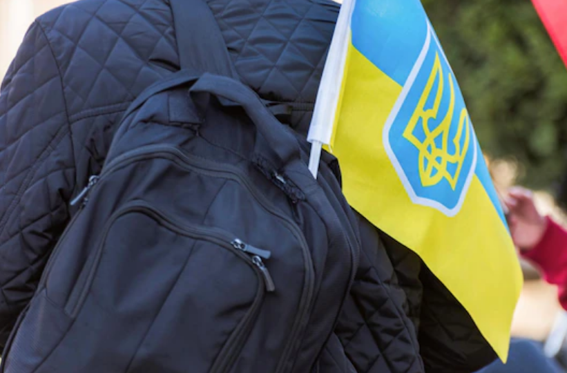 Як ВПО отримати страхові виплати у зв’язку з тимчасовою втратою працездатності