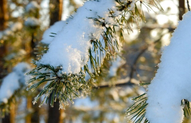 Ударит мороз: синоптики назвали дату резкого похолодания