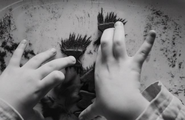 На «Берниале-2023» покажут 5 украинских лент