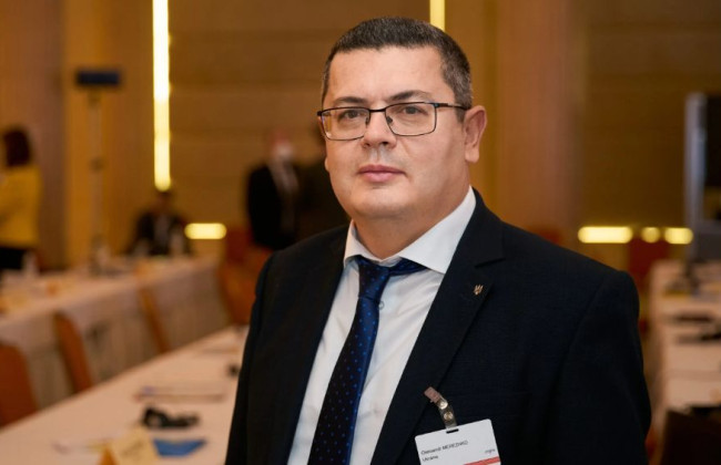 Стало известно, сколько голосов набрал нардеп от Слуги народа Мережко при голосовании за президента ПАСЕ