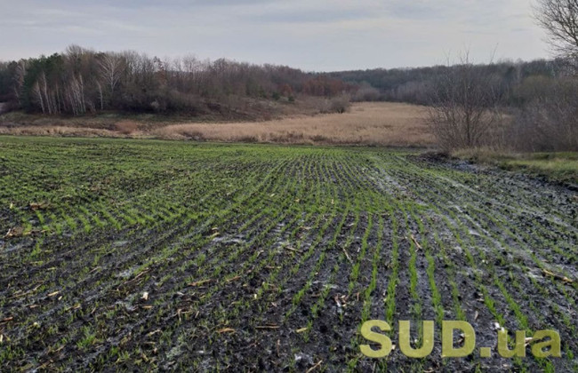 Будут судить мошенника, который завладел землей Национальной академии аграрных наук