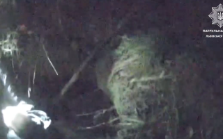 Был по шею в воде: во Львове спасли мужчину, который возвращаясь с работы по лесополосе, упал в открытый колодец