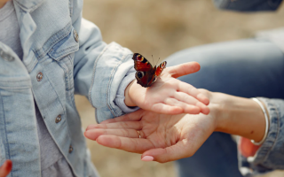Когда уход за ребенком до достижения им трехлетнего возраста засчитывается в страховой стаж неработающей женщины – ПФУ