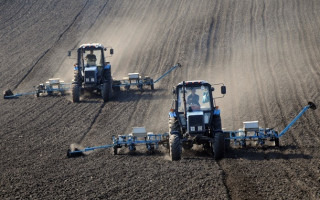 Україна понизила посівні площі на 25%