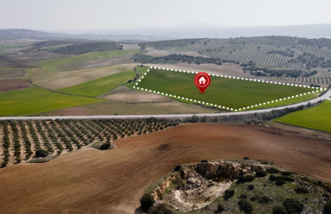 Право громадян на отримання земельних ділянок, де розташовані об’єкти нерухомого майна: роз'яснення