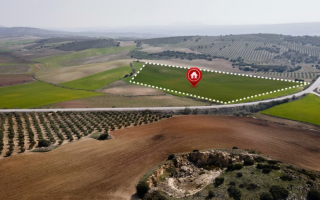 Право громадян на отримання земельних ділянок, де розташовані об’єкти нерухомого майна: роз'яснення