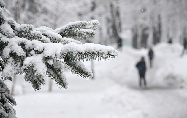 Сніг та мороз: коли в Україну повернеться справжня зима, прогноз погоди
