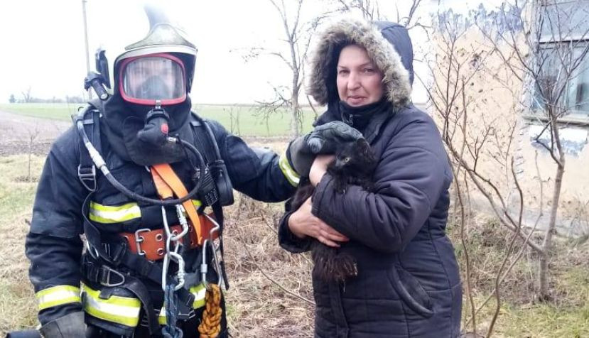 Упал в 35-метровый колодец: в Ровенской области спасли кота, фото