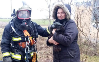 Впав у 35-метровий колодязь: на Рівненщині врятували кота, фото