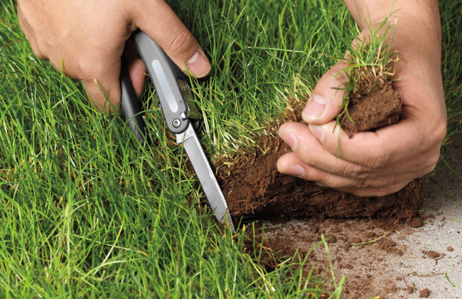 Незаконное выделение земли стоимостью 1,3 млн грн: в Киевской области будут судить бывшего чиновника