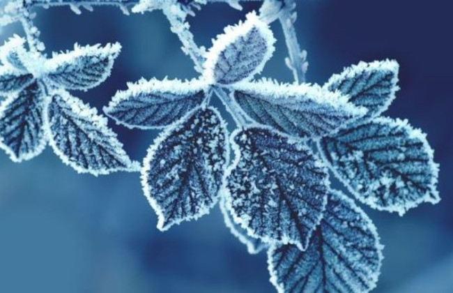 До України йде різке похолодання: коли чекати морозів