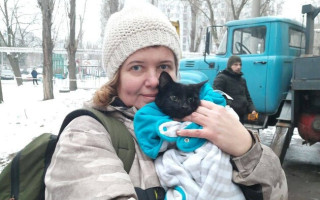 Зі зруйнованого росіянами будинку в Дніпрі врятували кішку – вона чекала понад два тижні