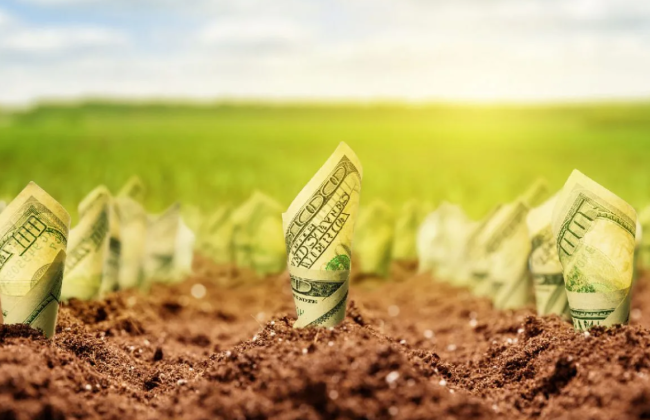 В США хотят запретить китайцам покупать сельскохозяйственные земли