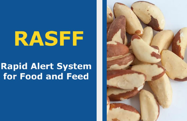 В Україну потрапили небезпечні горіхи з Бразилії