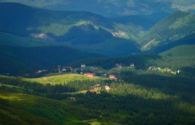 Экс-руководительница подразделения Госгеокадастра незаконно передала земли на Драгобрате в частные руки