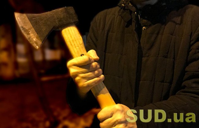 Вбили сокирою та пограбували заради дози наркотиків: суд покарав мешканця Київщини