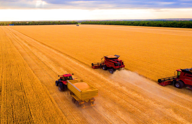 Как забронировать работников агропромышленности и куда ради этого обращаться