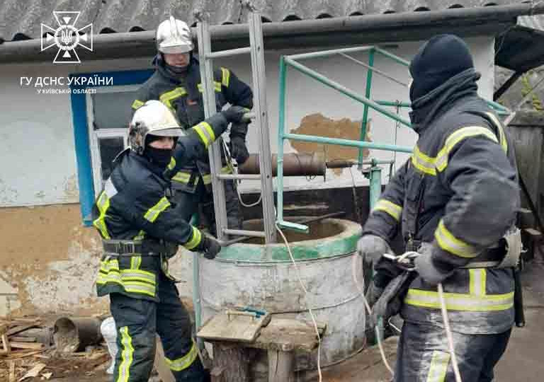 Під Києвом врятували кота, який впав у колодязь: фото