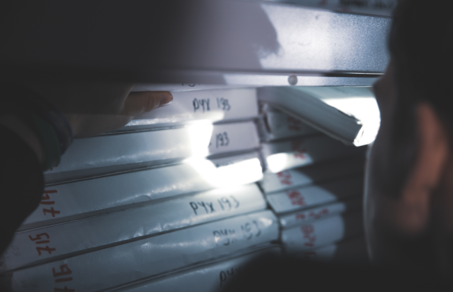 Отримання неправомірної вигоди ексголовою Держагенства лісових ресурсів України: засуджено екскерівника підприємства