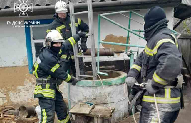 Под Киевом спасли кота, который упал в колодец: фото