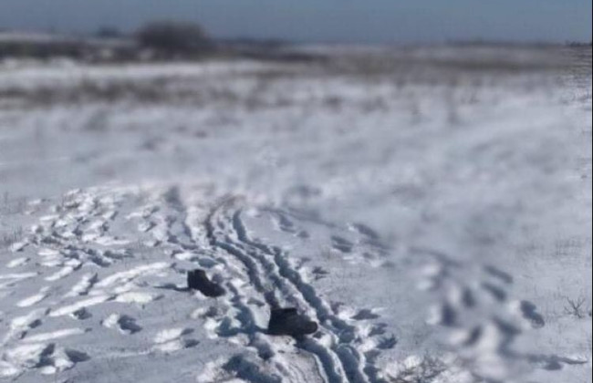 Задушил мужчину руками и выбросил в поле: о подозрении сообщили жителю Киевщины, который приехал в гости