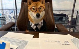 Ілон Маск «призначив» новим гендиректором Twitter свого пса, фото