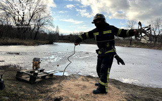 В Одесі під час порятунку собаки чоловік провалився під кригу, фото