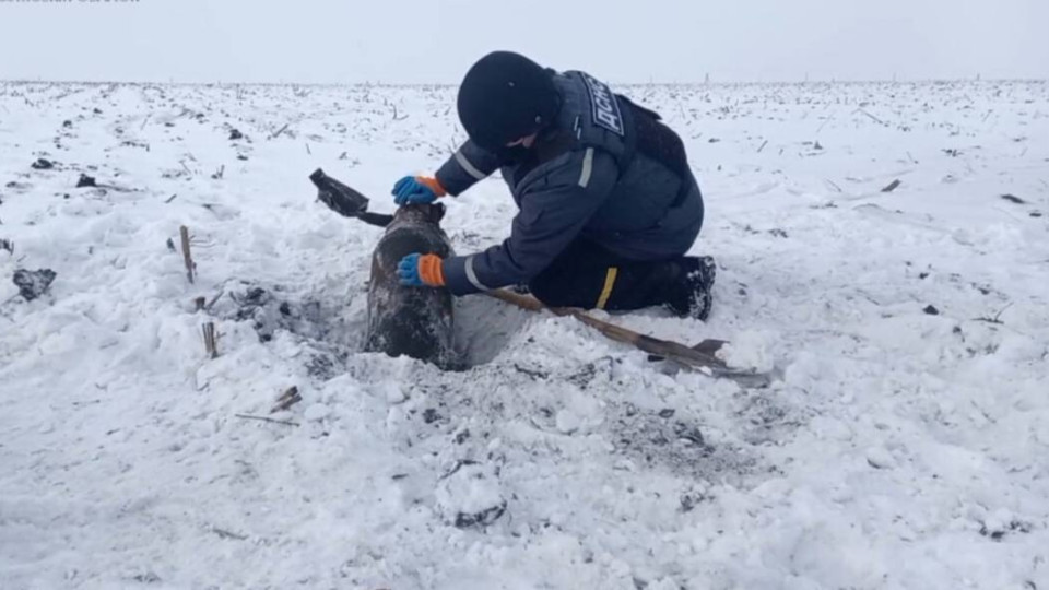 В северных районах Киева могут звучать звуки взрывов: почему