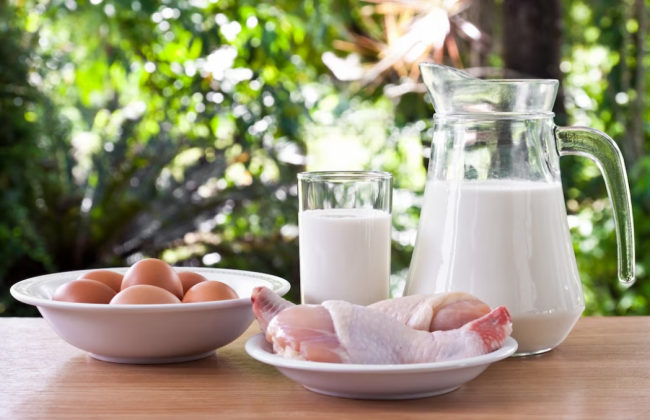 Как отключение света повлияли на производство продуктов: ответ заместителя главы Минагрополитики Высоцкого