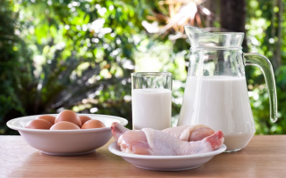 Как отключение света повлияли на производство продуктов: ответ заместителя главы Минагрополитики Высоцкого