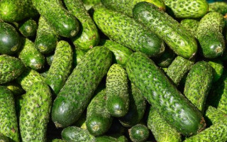 В Україні подорожчав популярний овоч