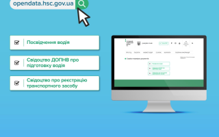 Перевірка документів на авто або посвідчення водія: зручні онлайн-сервіси, які допоможуть це зробити