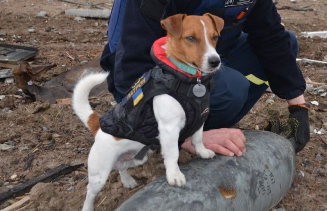 Як убезпечити дітей від вибухових пристроїв: у ДСНС створили комікси