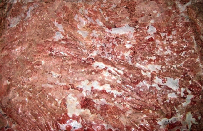 В Украину попало куриное мясо, в котором обнаружена сальмонелла