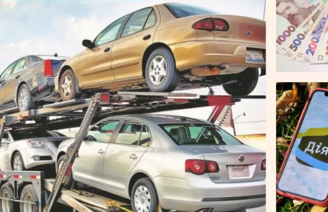 Розмитнення авто в «Дії»: Рада провалила голосування за законопроект