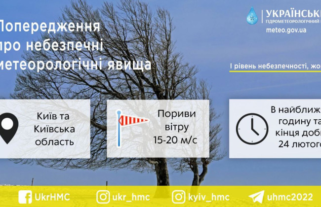 В Киеве и области ожидаются сильные порывы ветра до конца суток