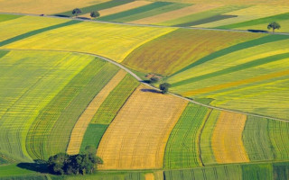 Внесены изменения в положения деятельности Госгеокадастра: детали