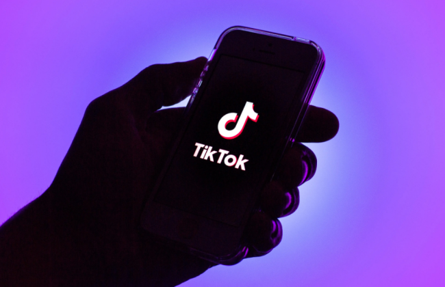 Белый дом дал государственным учреждениям месяц на удаление TikTok