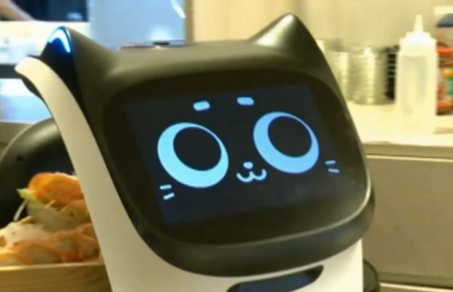 В Іспанії замість офіціантів їжу розносять роботи-коти