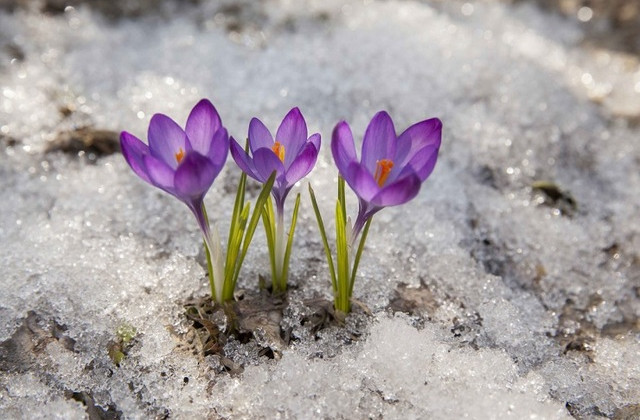 1 березня: яке свято, прикмети і заборони
