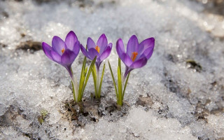 1 березня: яке свято, прикмети і заборони