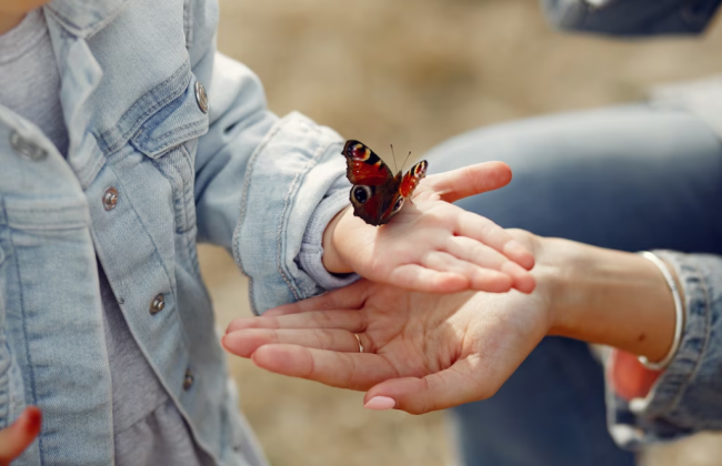 Можно ли уволить работника во время декретного отпуска в условиях военного положения